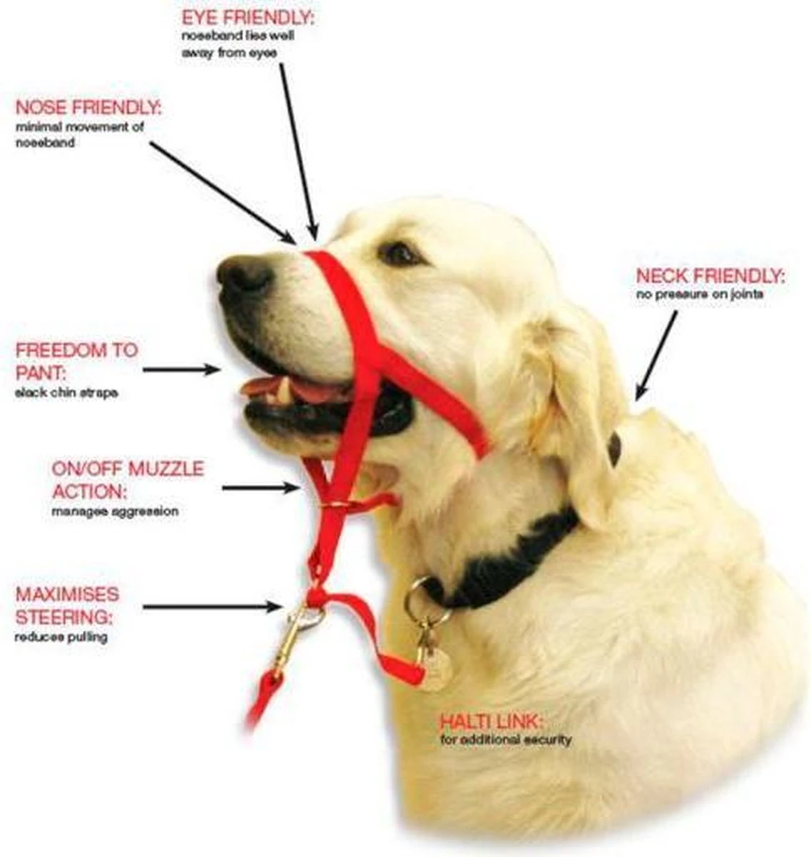 Halti Headcollar - Maat 2 - Afbeelding 2