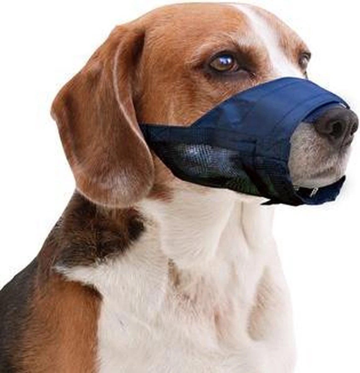 Pawise Muilkorf Adjustable - M - Size - Afbeelding 3