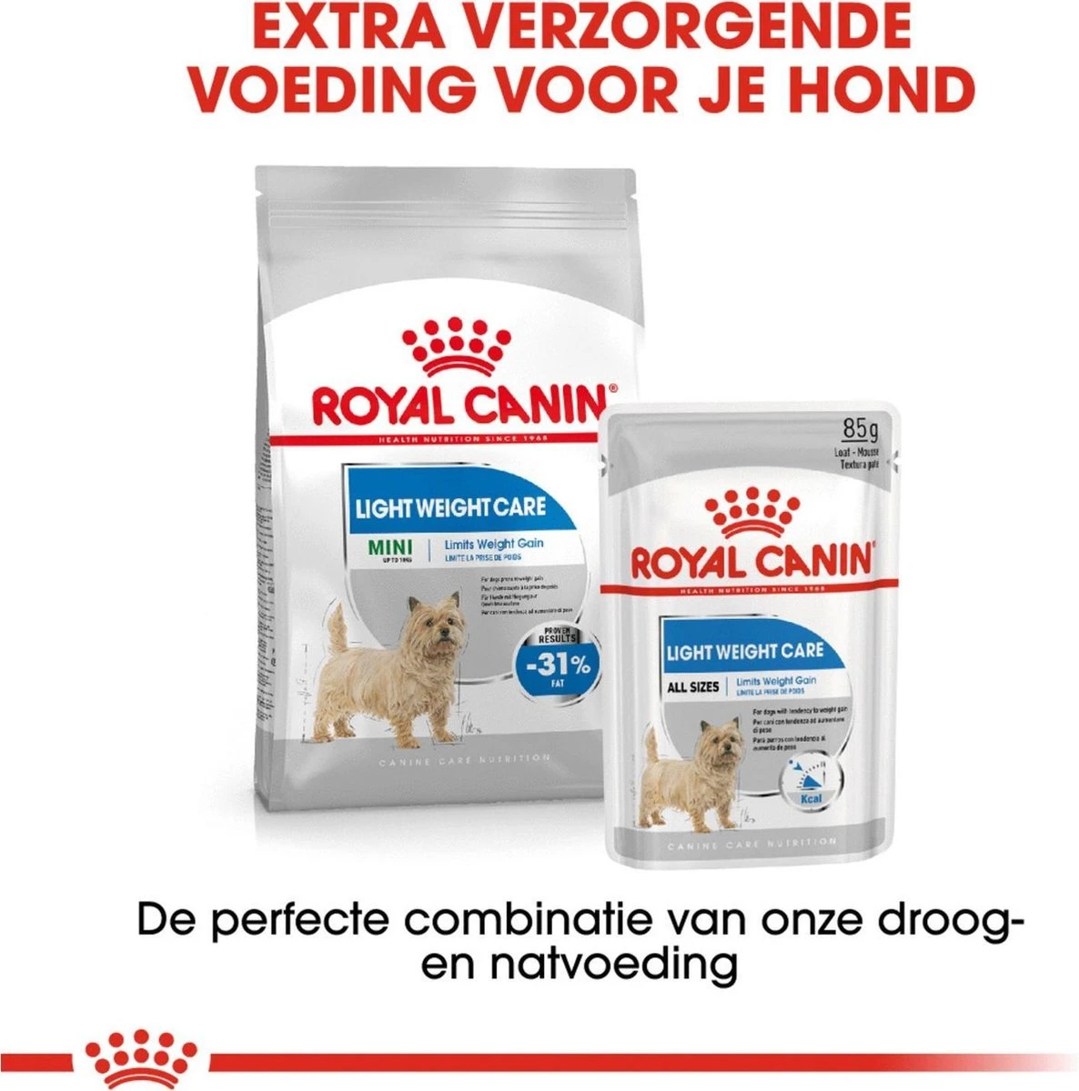 Royal Canin Ccn Light Weight Care Mini - Hondenvoer - 3 Kg - Afbeelding 8