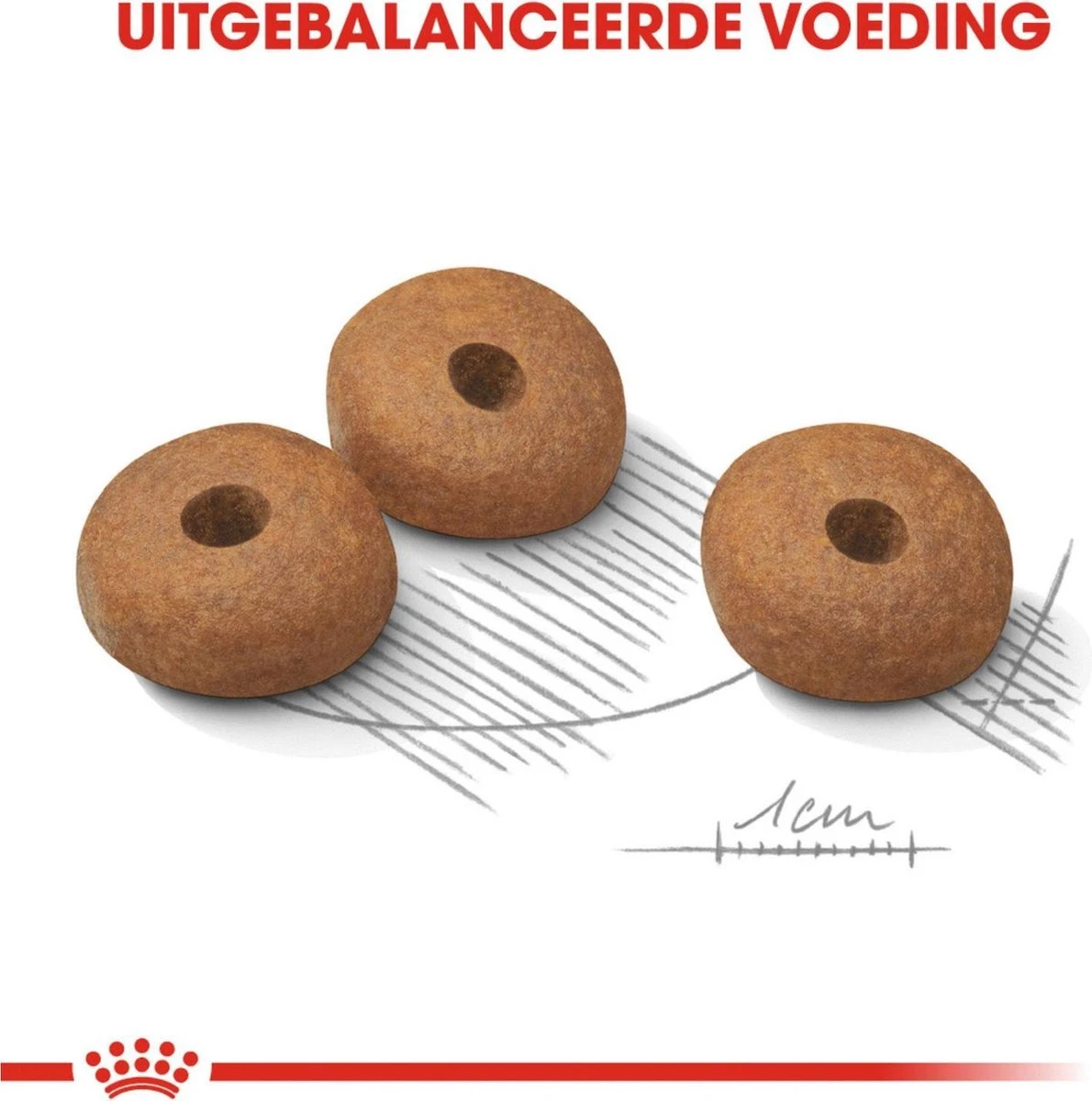 Royal Canin Ccn Light Weight Care Mini - Hondenvoer - 3 Kg - Afbeelding 5