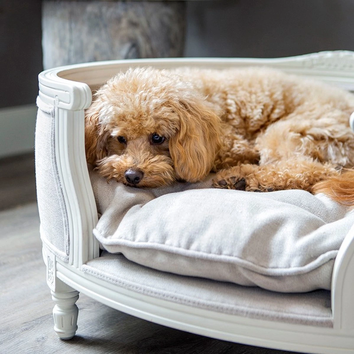 Lord Lou - George Blauw Velvet S - Luxe Hondenmand - Luxe Kattenmand - 49x40x31 - Afbeelding 10