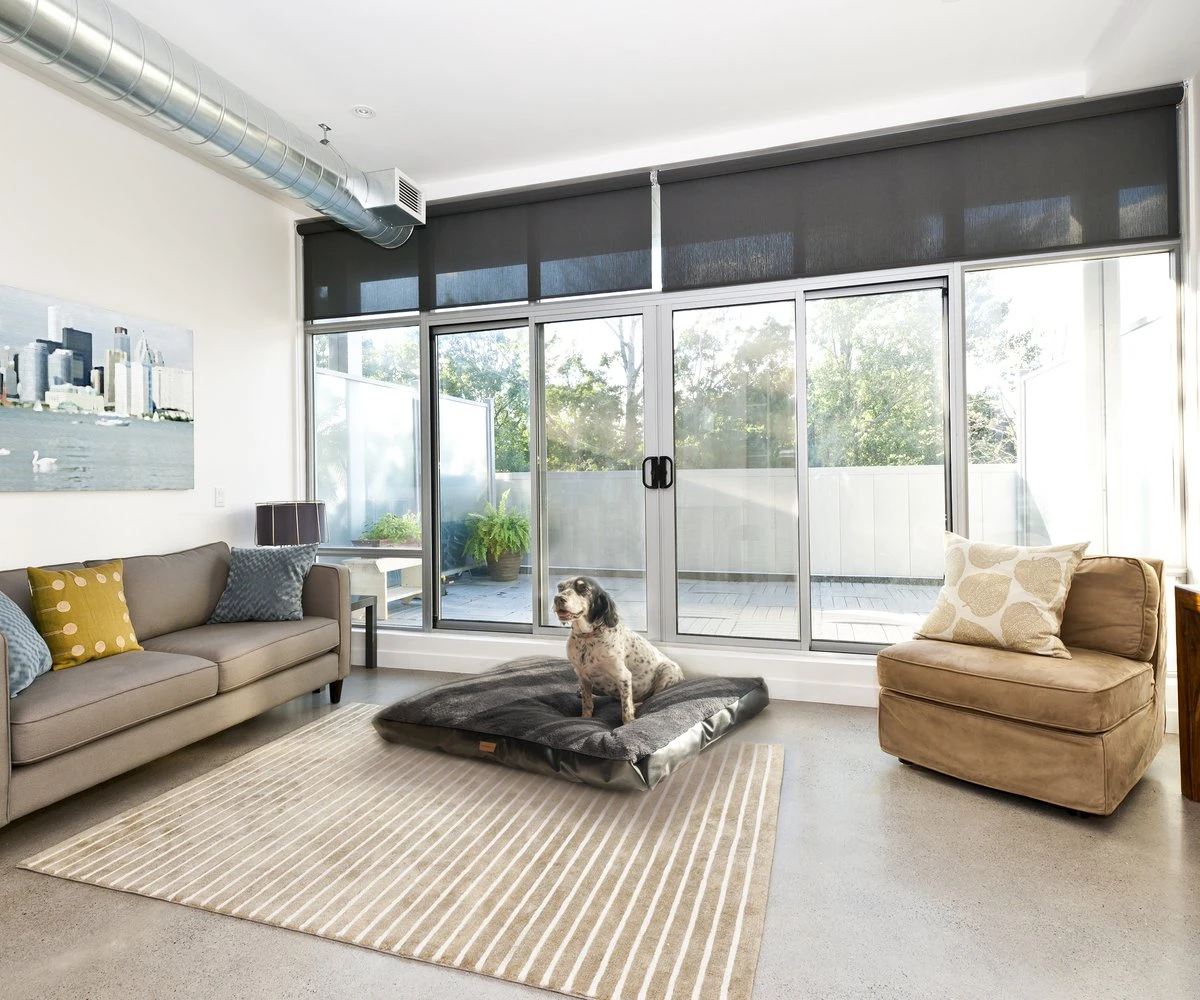 PrimePlus Hondenkussen XL Antraciet - 120x80x10 CM - Zacht En Luxe Hondenmand - Hondenbed - Hondenmat - Orthopedisch Hondenkussens - Afbeelding 8