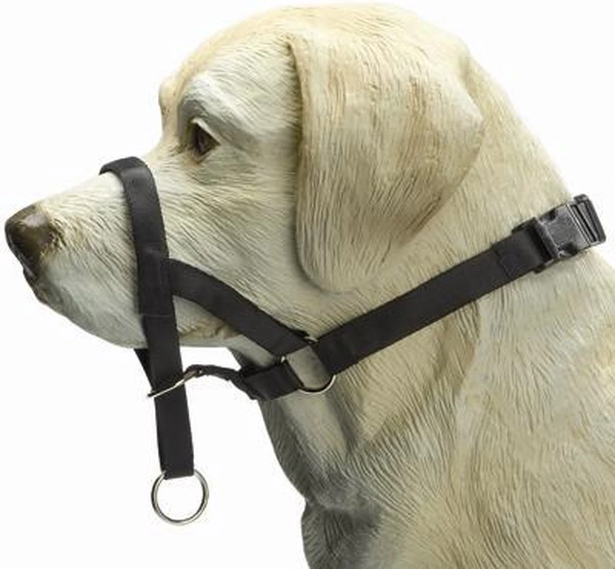 Beeztees Dog Control - Halsband Hond - Zwart - S - Afbeelding 2
