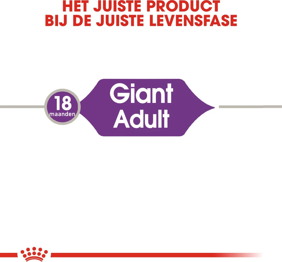 Royal Canin Giant Adult 15 KG - Afbeelding 2