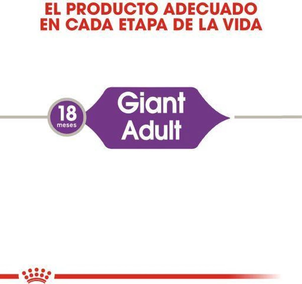 Royal Canin Giant Adult 15 KG - Afbeelding 4