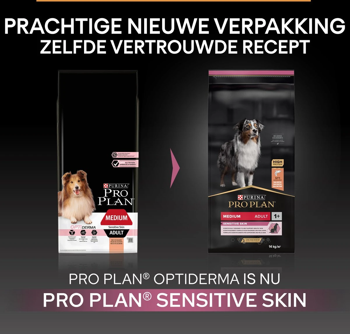 Pro Plan Medium Adult Sensitive Skin - Honden Droogvoer - Zalm - 14 Kg - Afbeelding 3