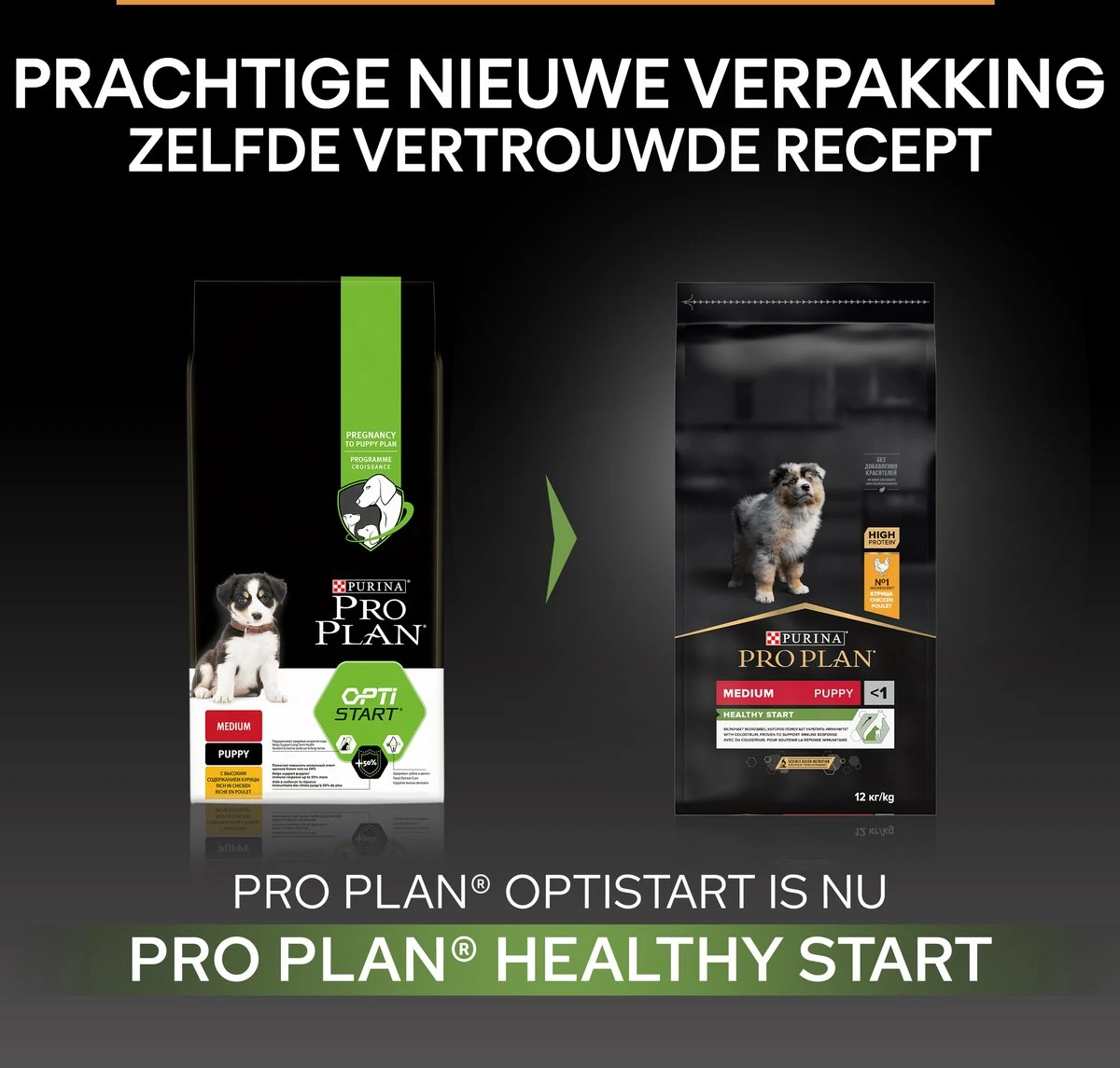 Pro Plan Healthy Start Puppy Medium - Honden Droogvoer - Kip - 12 Kg - Afbeelding 3