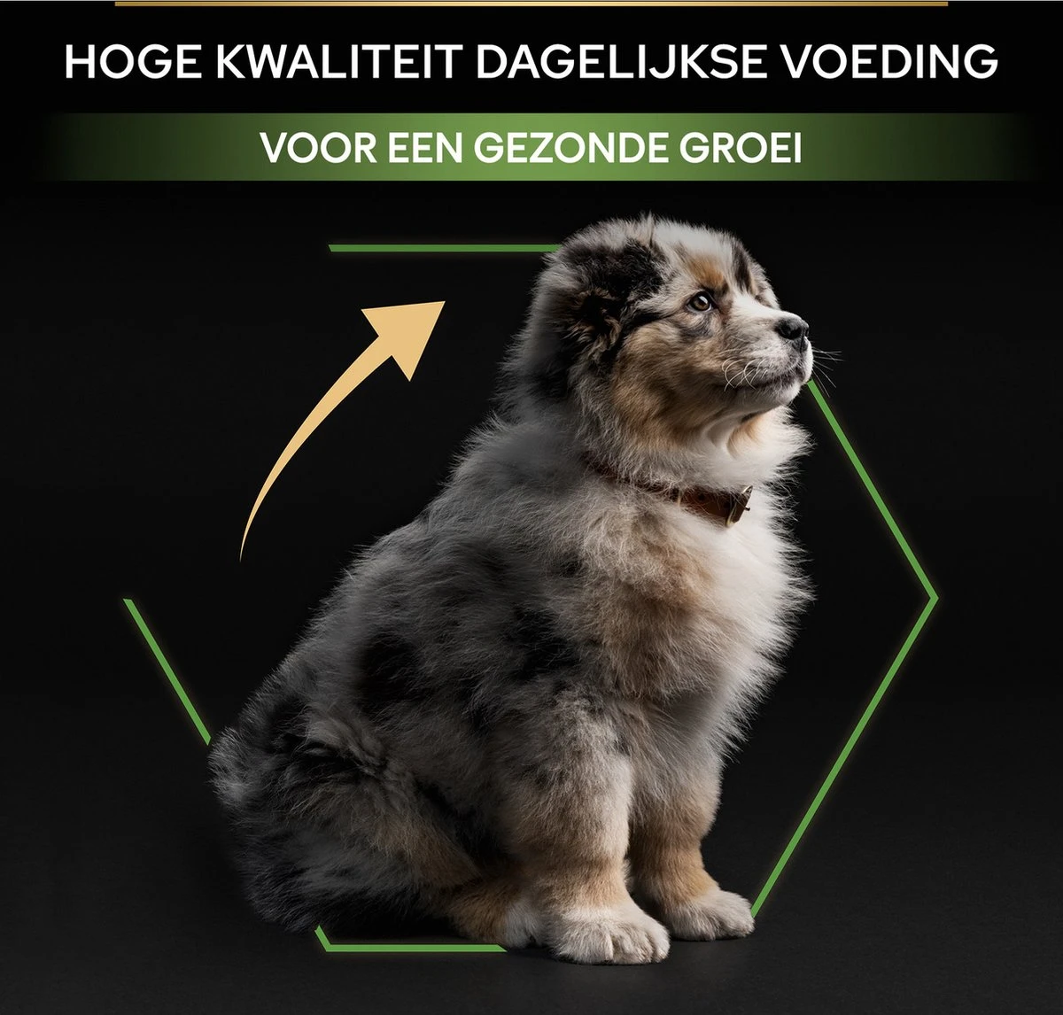 Pro Plan Healthy Start Puppy Medium - Honden Droogvoer - Kip - 12 Kg - Afbeelding 12
