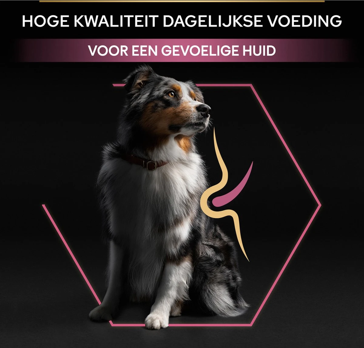 Pro Plan Medium Adult Sensitive Skin - Honden Droogvoer - Zalm - 14 Kg - Afbeelding 12