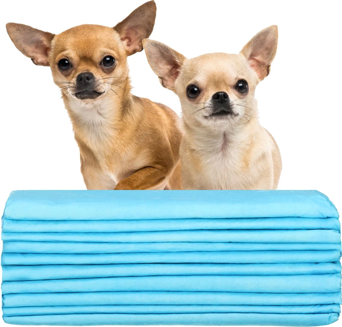Springos Puppy Training Pads| Plasmatjes Hond | Zindelijkheidstraining | 10 Stuks | 35 X 45 Cm - Afbeelding 7