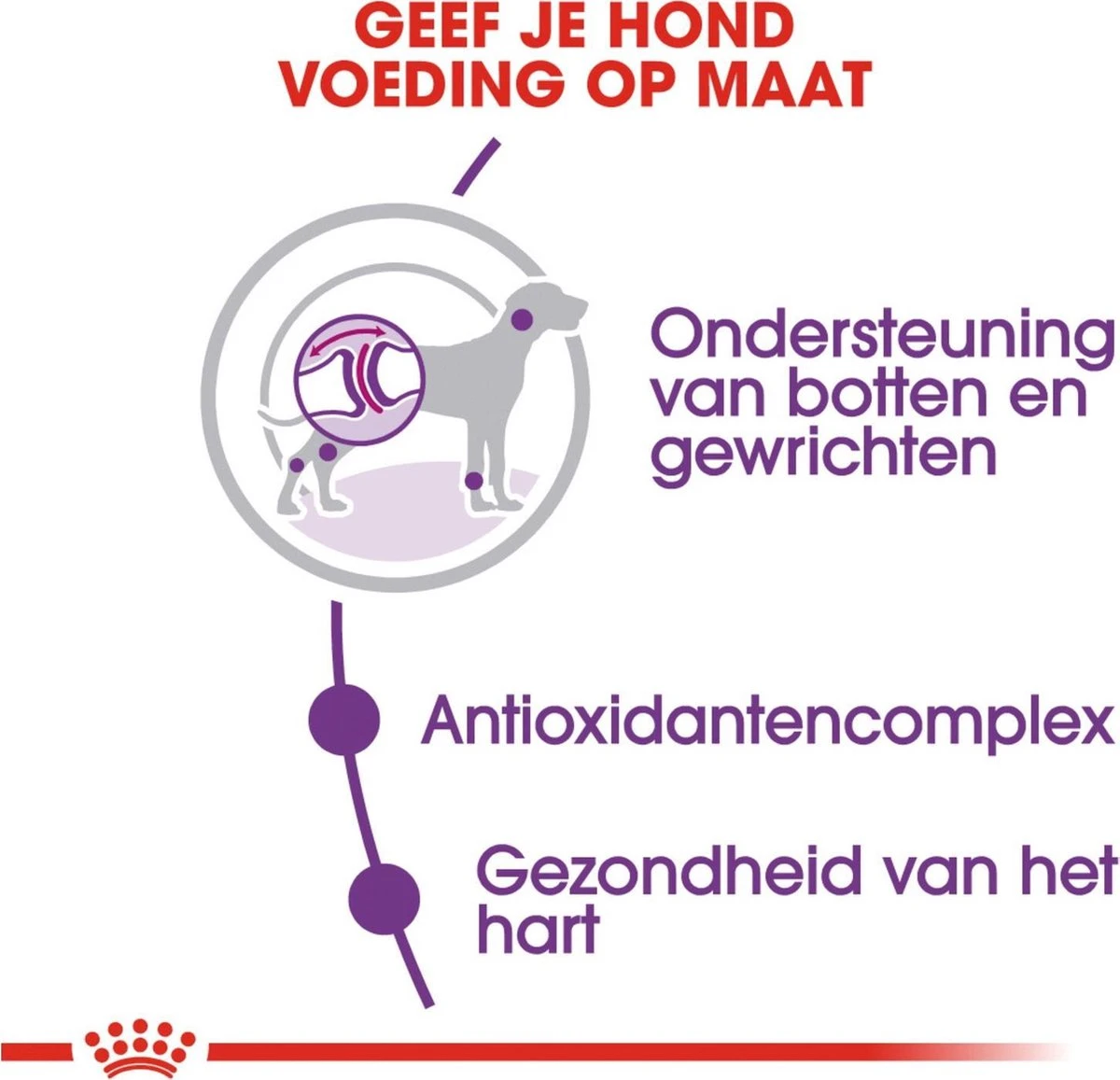 Royal Canin Giant Adult 15 KG - Afbeelding 3