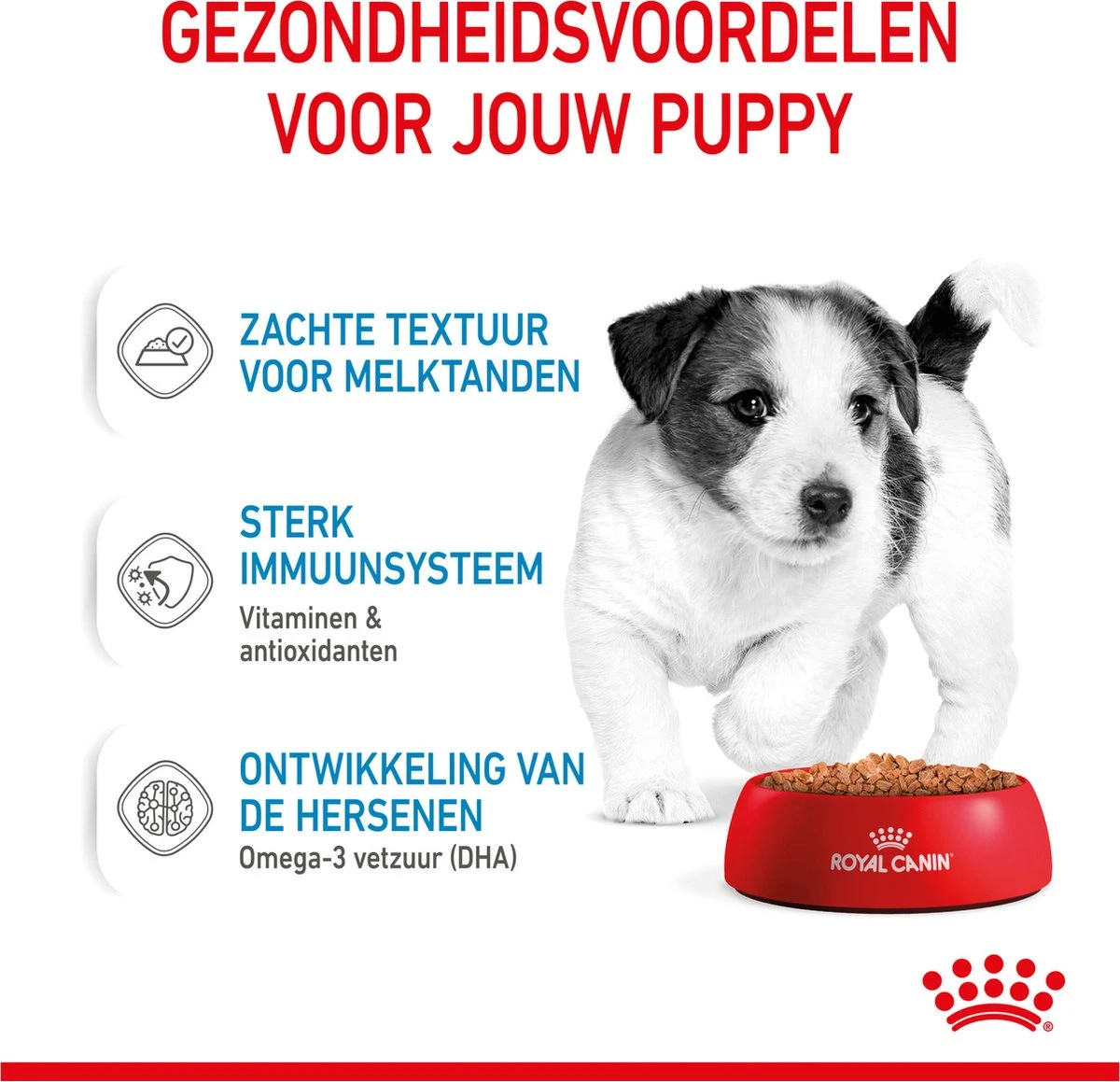 Royal Canin Shn Mini Puppy Pouch - Hondennatvoer - 12 X 85 G - Afbeelding 5