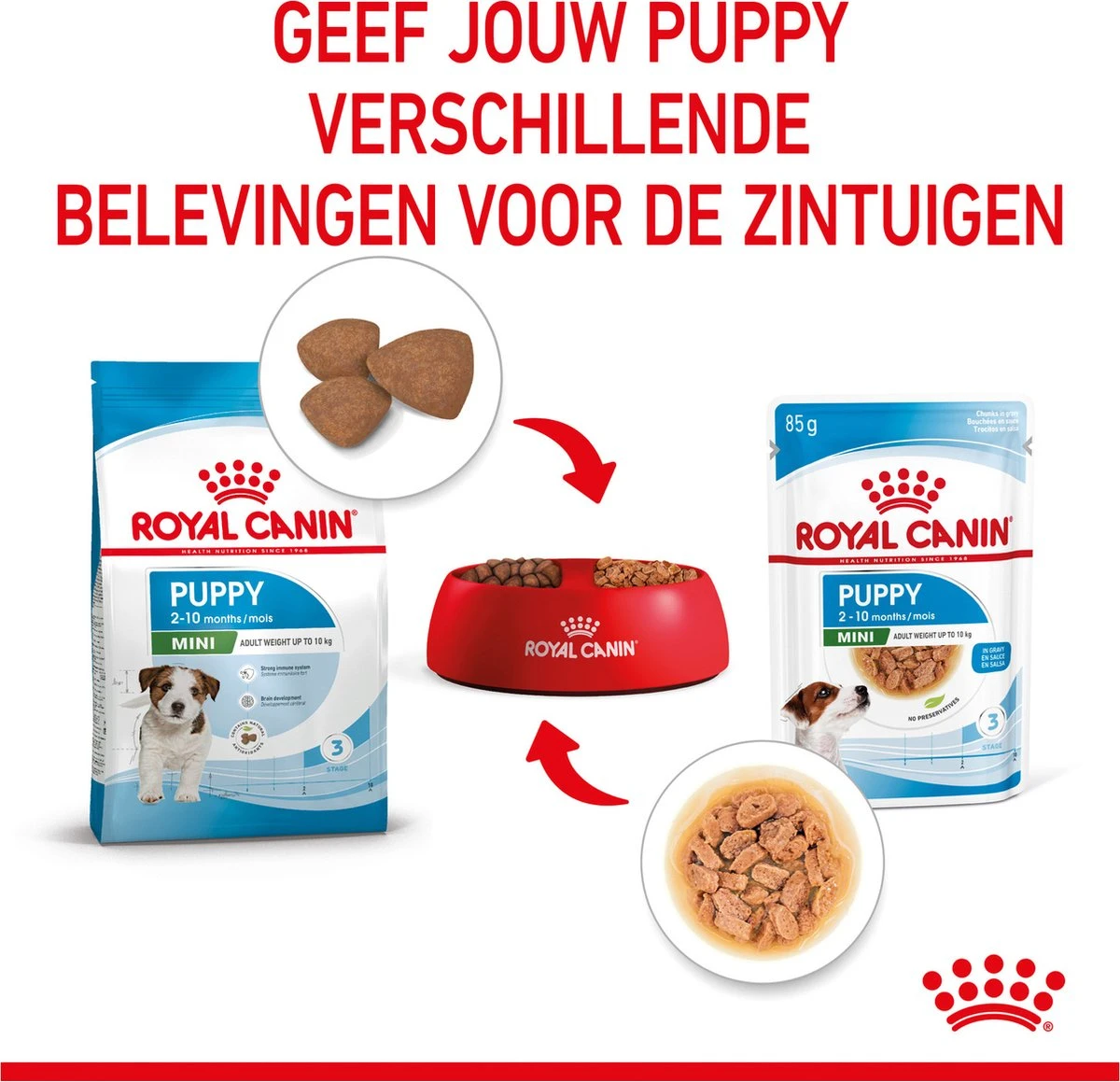 Royal Canin Shn Mini Puppy Pouch - Hondennatvoer - 12 X 85 G - Afbeelding 6