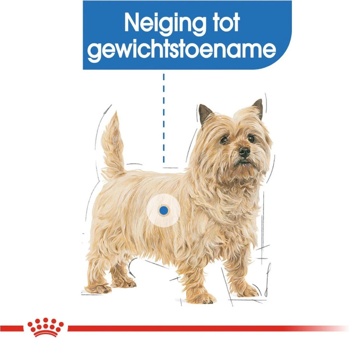 Royal Canin Ccn Light Weight Care Mini - Hondenvoer - 3 Kg - Afbeelding 2