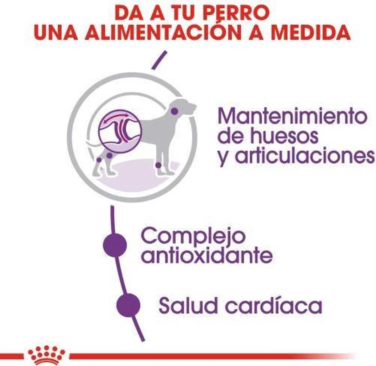 Royal Canin Giant Adult 15 KG - Afbeelding 7