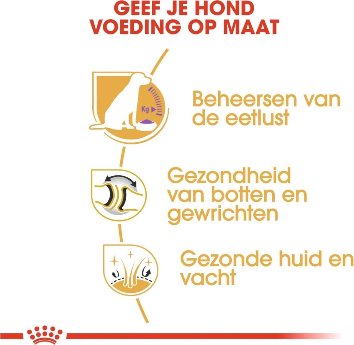 Royal Canin Labrador Retriever Sterilised 12 KG - Afbeelding 5