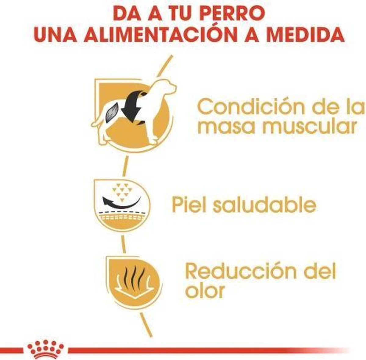 Royal Canin French Bulldog Adult 9 KG - Afbeelding 6