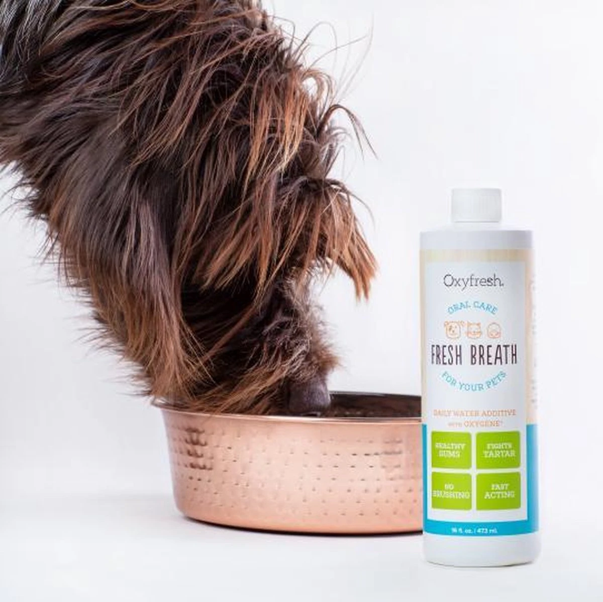 OxyFresh Pet Mondwater Hond En Kat. Helpt Tegen Tandsteen, Plak En Vieze Ademgeurtjes - Afbeelding 2