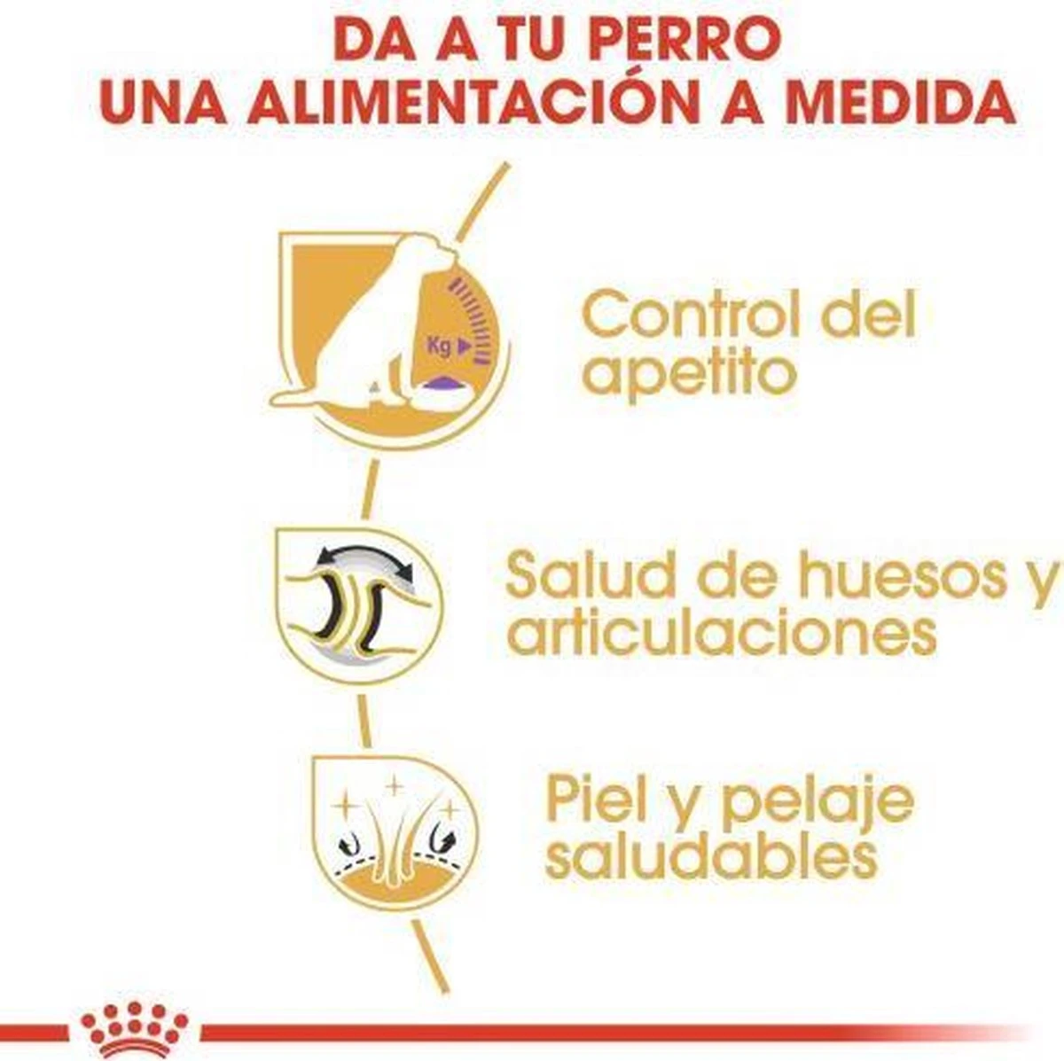 Royal Canin Labrador Retriever Sterilised 12 KG - Afbeelding 4