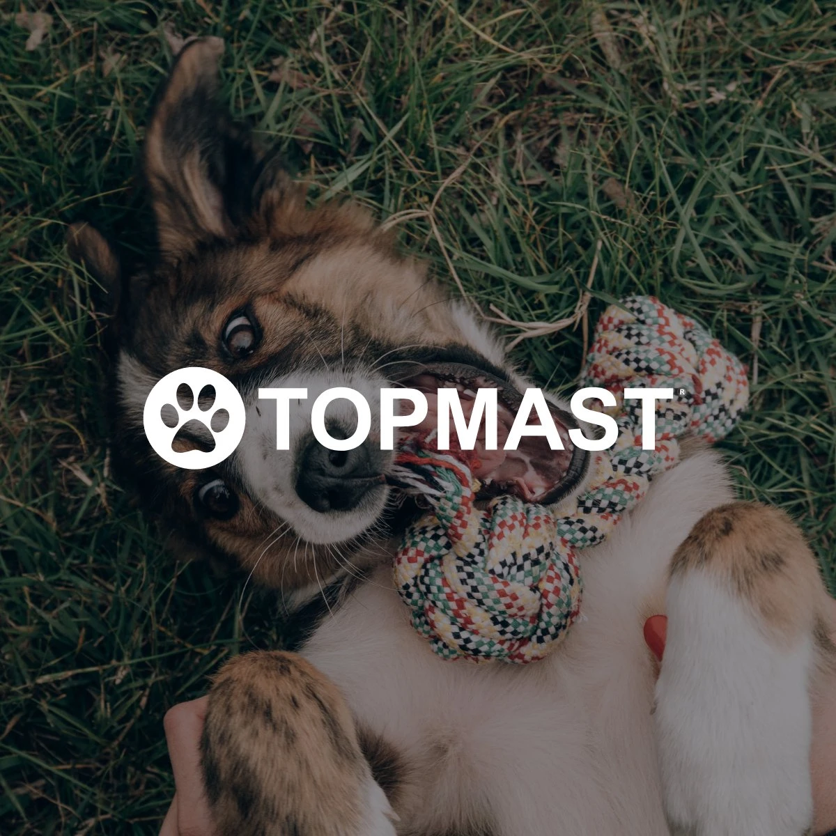 Topmast Waterproof Benchkussen - Nylon - Zwart - 90 X 60 Cm - Benchmat - Benchmatras - Waterafstotend - Hondenkussen - Afbeelding 5