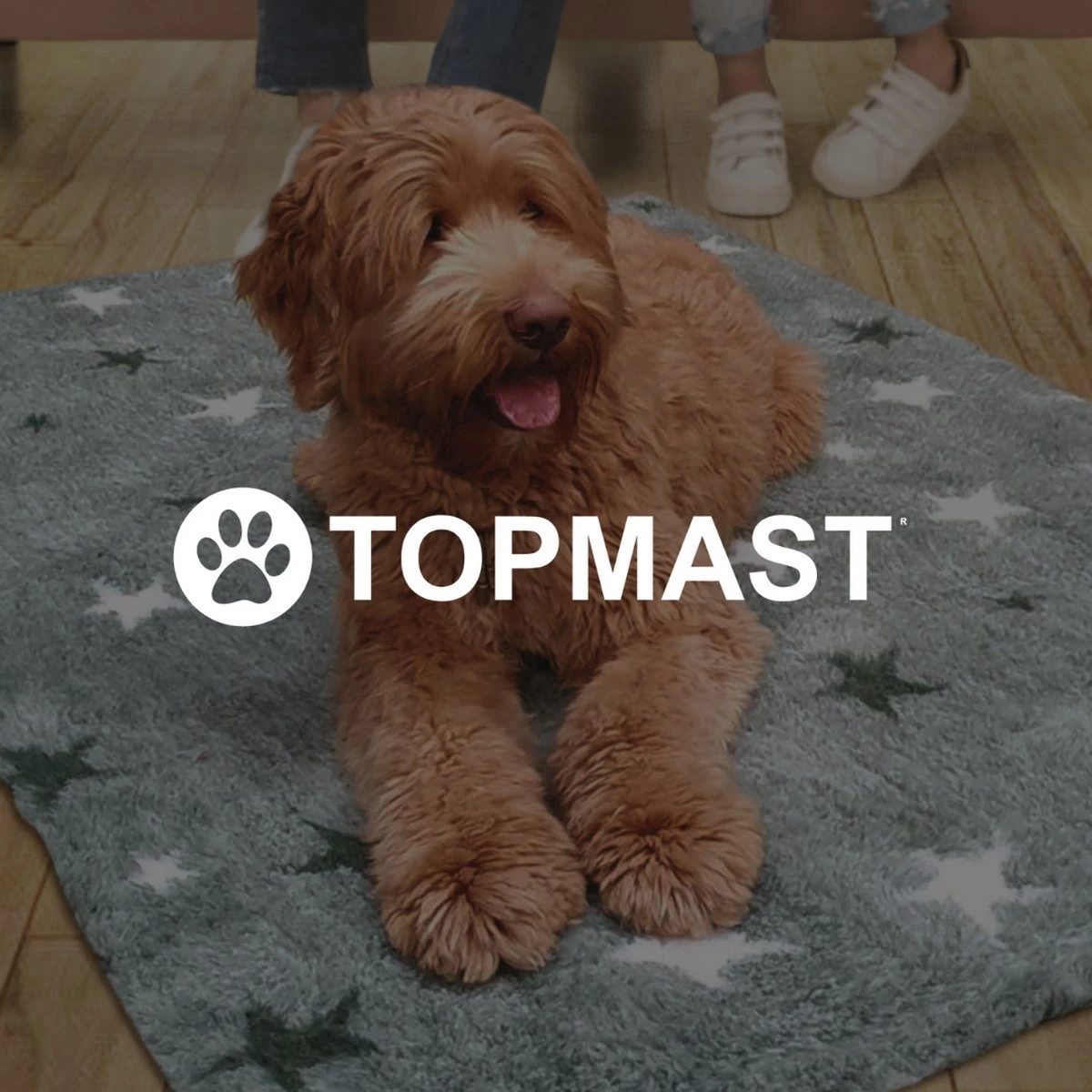 Vetbed Effen Lichtbruin - Antislip Hondenmat - 100 X 75 Cm - Benchmat - Hondenkleed - Voor Honden - Machine Wasbaar - Afbeelding 2