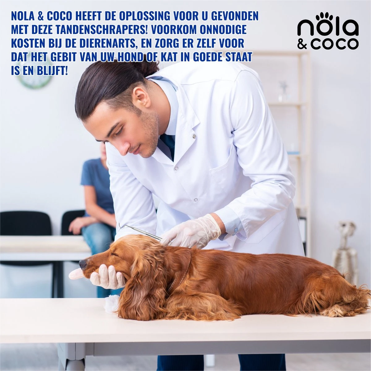 Nola & Coco® Tandsteen Verwijderaar Set Inclusief Bewaardoosje - Tandenkrabber - Set Van Twee - Hond - Kat - Tandenborstel - Tandplak Verwijderen - Tandenstoker - Honden Tanden Schoonmaken - Tandenhaakje - Gebitsreiniging - Afbeelding 3