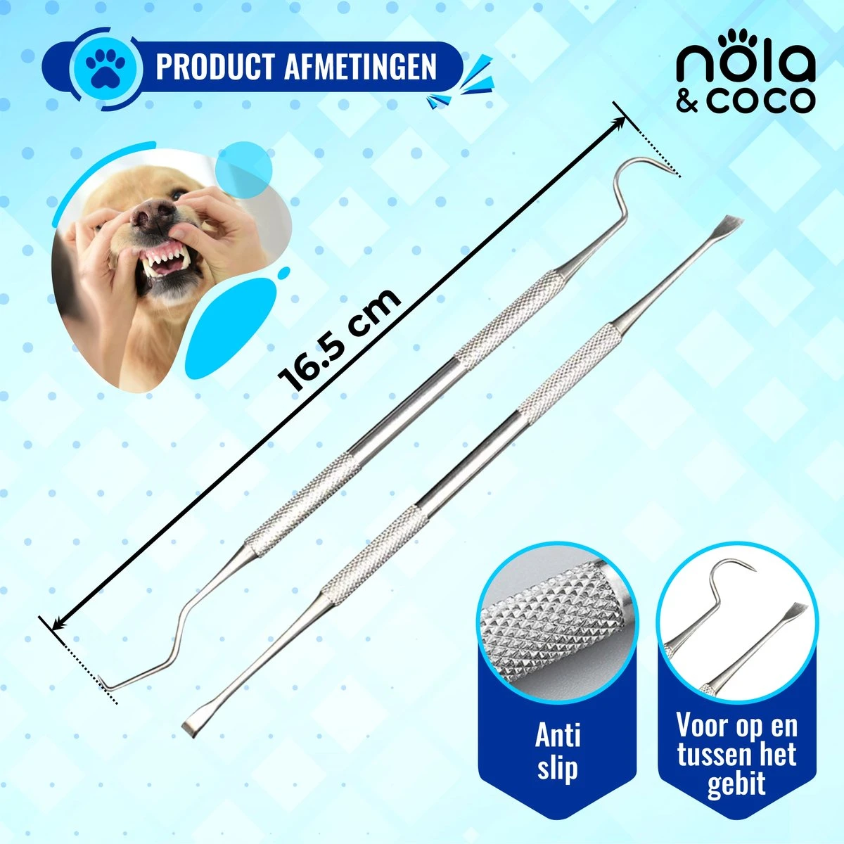 Nola & Coco® Tandsteen Verwijderaar Set Inclusief Bewaardoosje - Tandenkrabber - Set Van Twee - Hond - Kat - Tandenborstel - Tandplak Verwijderen - Tandenstoker - Honden Tanden Schoonmaken - Tandenhaakje - Gebitsreiniging - Afbeelding 5