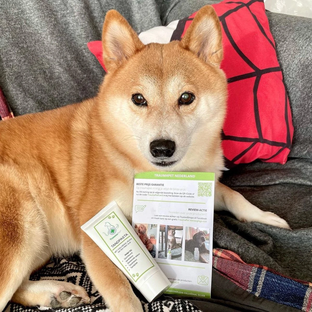 TraumaPet Tandpasta Met Colloïdaal Zilver Voor Dieren | Met Vleessmaak | Bij Stinkende Adem | Tandplak | Geïrriteerd Tandvlees | Tandsteen - Afbeelding 2