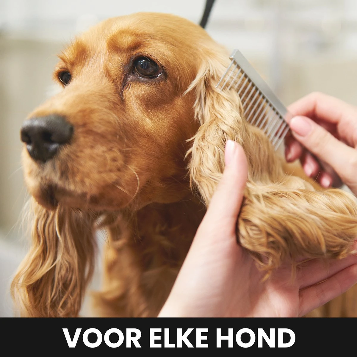 Hondentondeuse - Honden & Katten - Trimmer - Geluidsloos - Afbeelding 3
