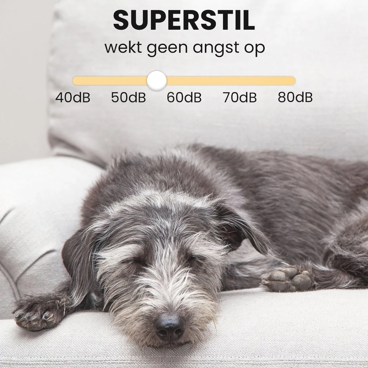 Hondentondeuse - Honden & Katten - Trimmer - Geluidsloos - Afbeelding 8