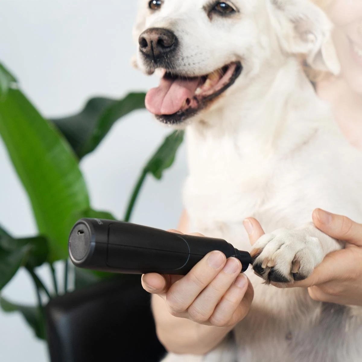 Navaris Elektrische Nagelvijl Voor Huisdieren - Met Diamanten Vijlkop - Voor Honden, Katten En Konijnen - Ook Voor Vogelsnavels - Draadloos - Afbeelding 2