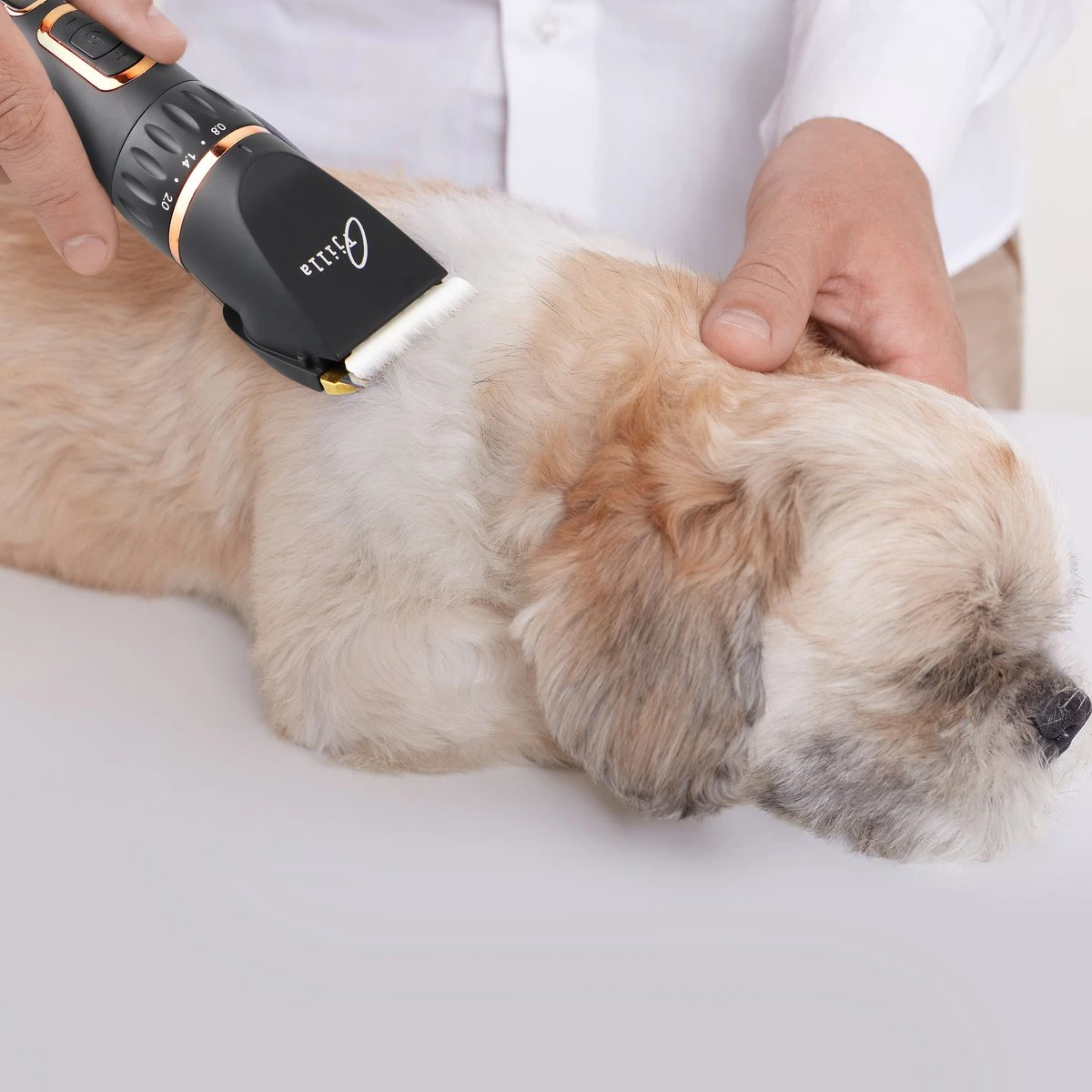 Tjilla Professionele Dieren/honden Tondeuse Set Extra Krachtig - Honden Trimmer - Lang Of Kortharige Huisdieren Katten & Honden - Draadloos - Weinig Geluid - Afbeelding 3
