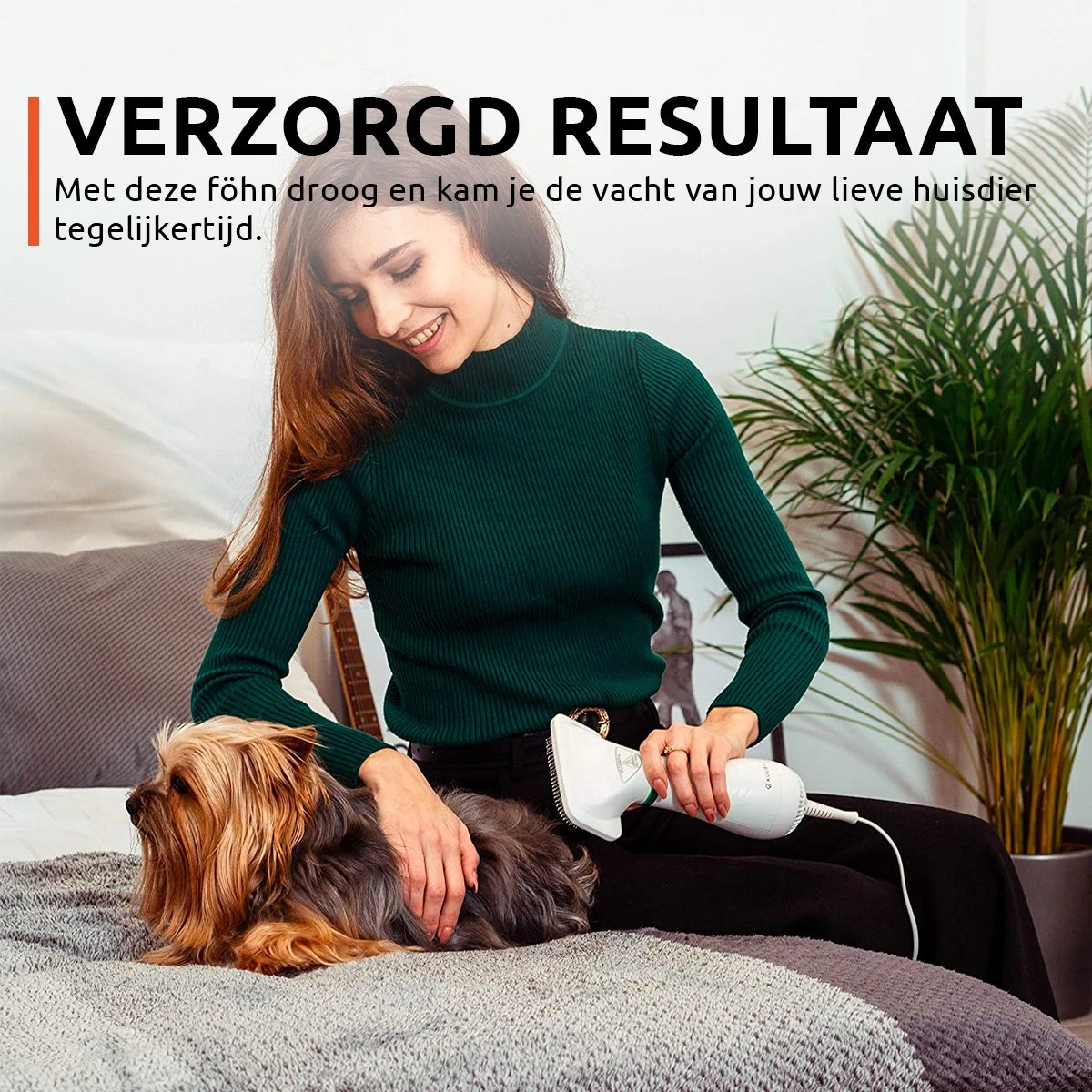 PetGoods 2-in-1 Hondenföhn – Föhn & Borstel - Honden & Katten - Low Noise - Afbeelding 4