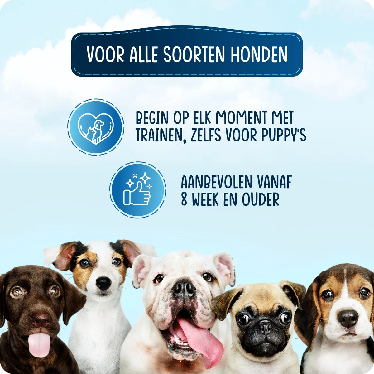 VEDIC® - Luxe Clicker Met Fluit - Clickertraining Voor Honden - Zwart - Bevestigingsring - Fluit - Hondentraining - Afbeelding 7