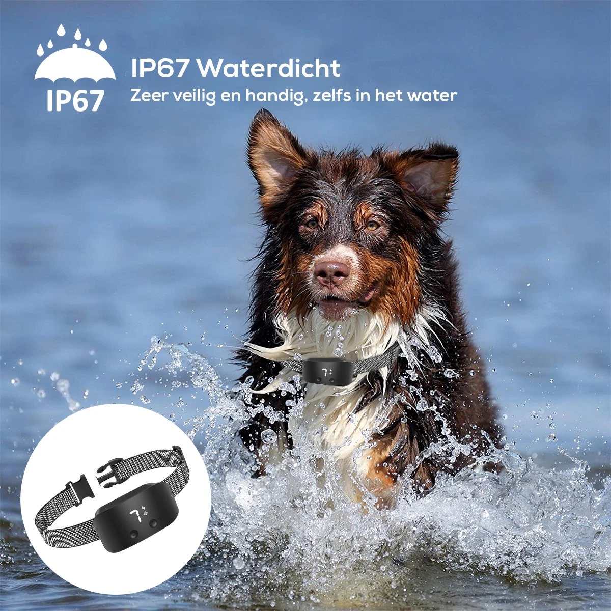 Salvano Anti Blafband - Blafband Voor Honden - Opvoedingshalsbanden - Voor Kleine En Grote Honden - Anti Blafband Zonder Schok- Oplaadbaar - Anti Blaf Apparaat - Blafband - Diervriendelijk - Afbeelding 8