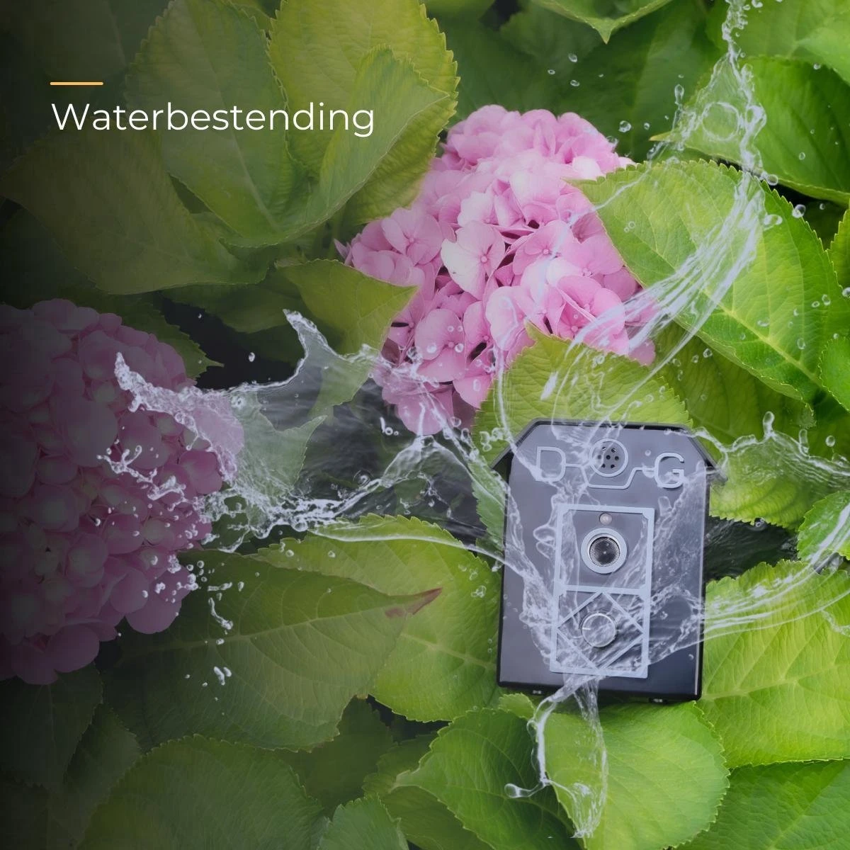 Merkloos Anti Blaf Apparaat Voor Honden - Alternatief Voor De Anti Blafband - Inclusief 9v Batterij & Nederlandse Handleiding - Diervriendelijk - Zonder Schok - Blafband Voor Honden - Zwart - Afbeelding 4