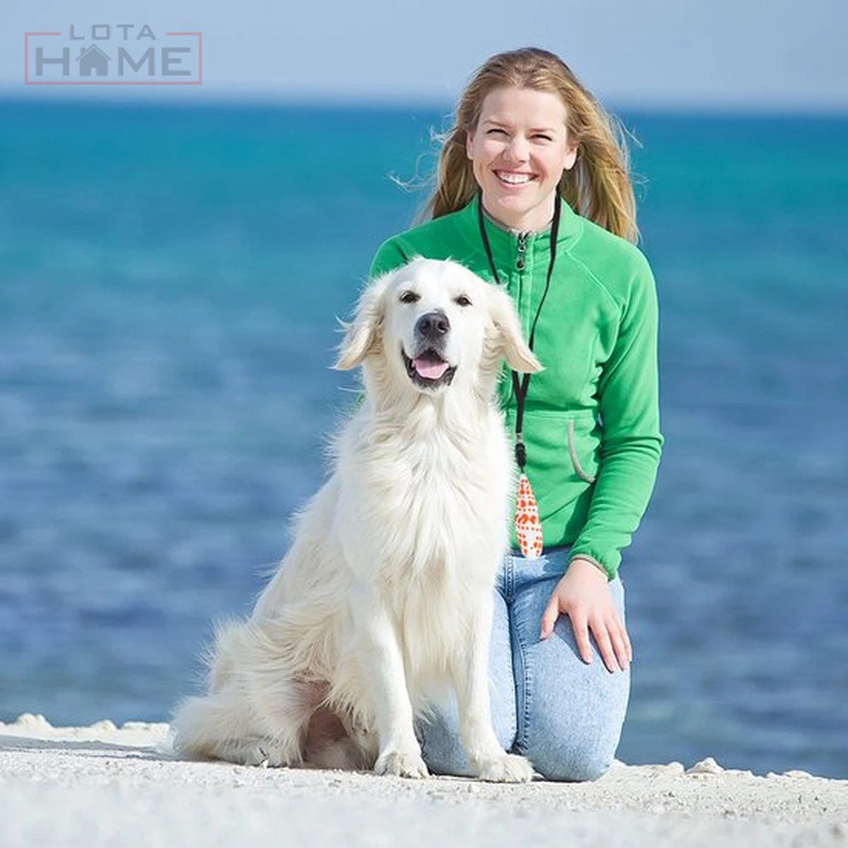 Merkloos LotaHome - Anti Blaf Apparaat - Hondentrainer Voor Binnen En Buiten - Bereik Tot 15 Meter - Diervriendelijk - Zonder Schok - Ultrasone - Voor Alle Honden - Inclusief Clicker - Afbeelding 18