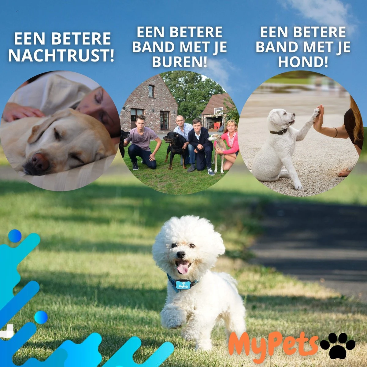 MyPets™ Anti-blafband - Anti Blaf Apparaat - Voor Kleine Honden En Grote Honden - Diervriendelijk - Opvoedingshalsband - Trainingshalsband - 2022/2023 Versie - Inclusief Batterijen - Afbeelding 10