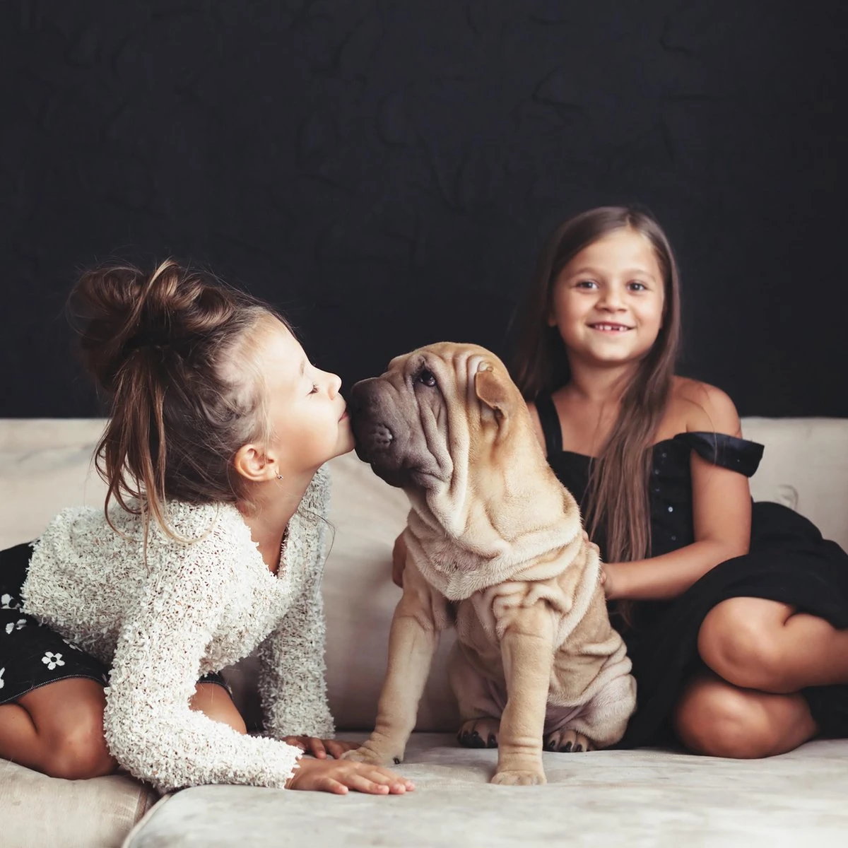 Relaxdays Puppyren - Hondenren - Puppykennel - Konijnenren - Bodem - Metaal - Div. Grootte - M - Afbeelding 3