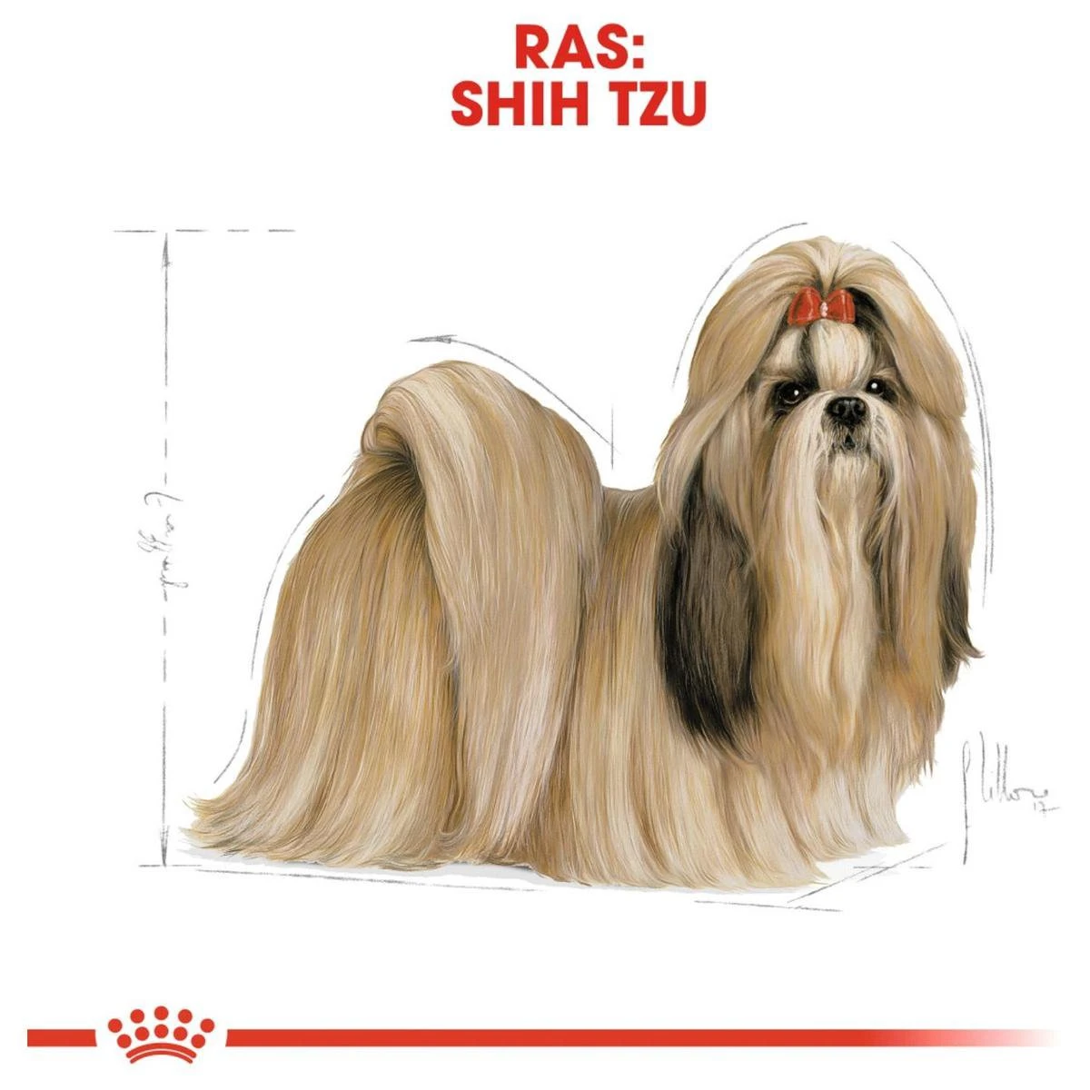 Royal Canin Shih Tzu Adult 7.5 KG - Afbeelding 7