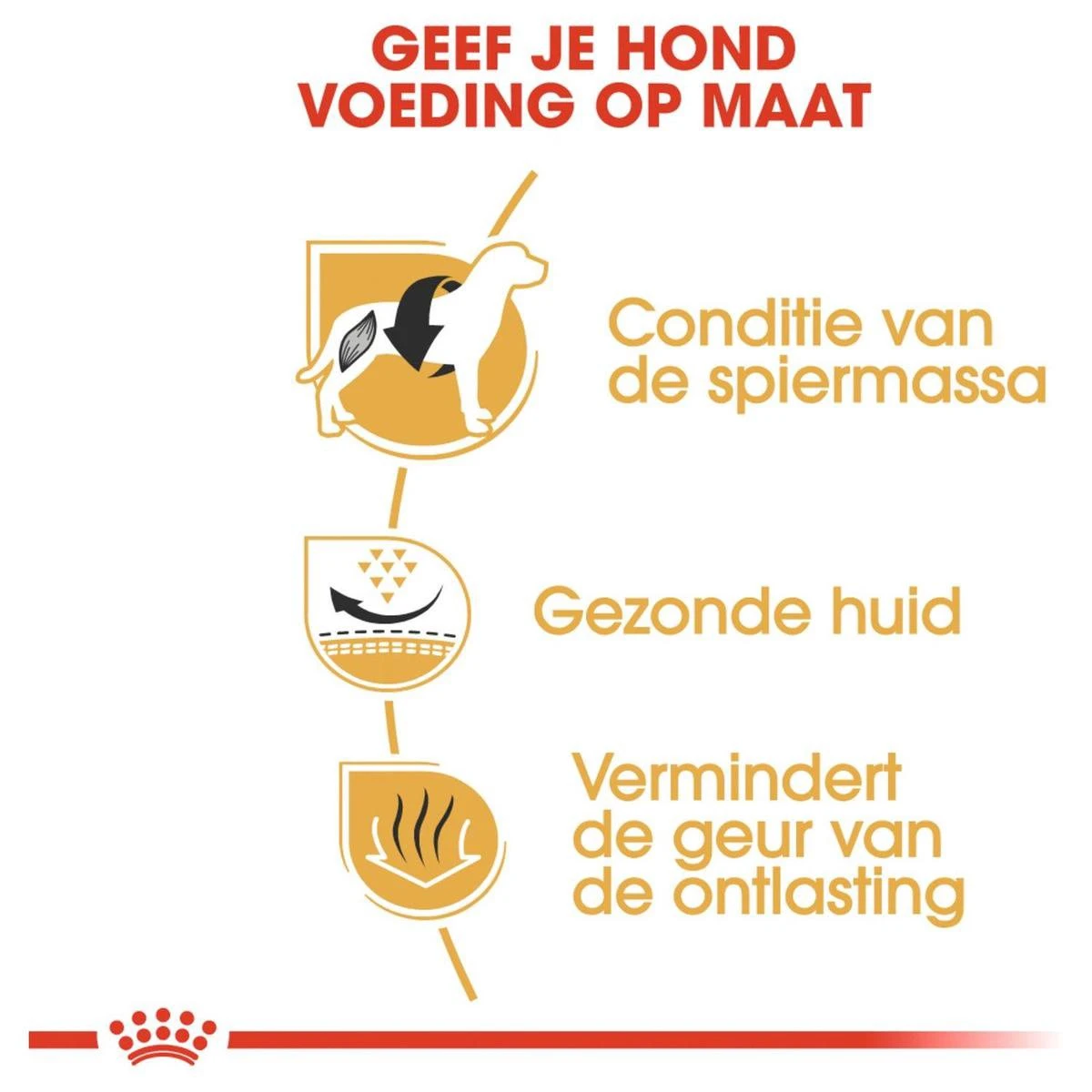 Royal Canin French Bulldog Adult 9 KG - Afbeelding 4