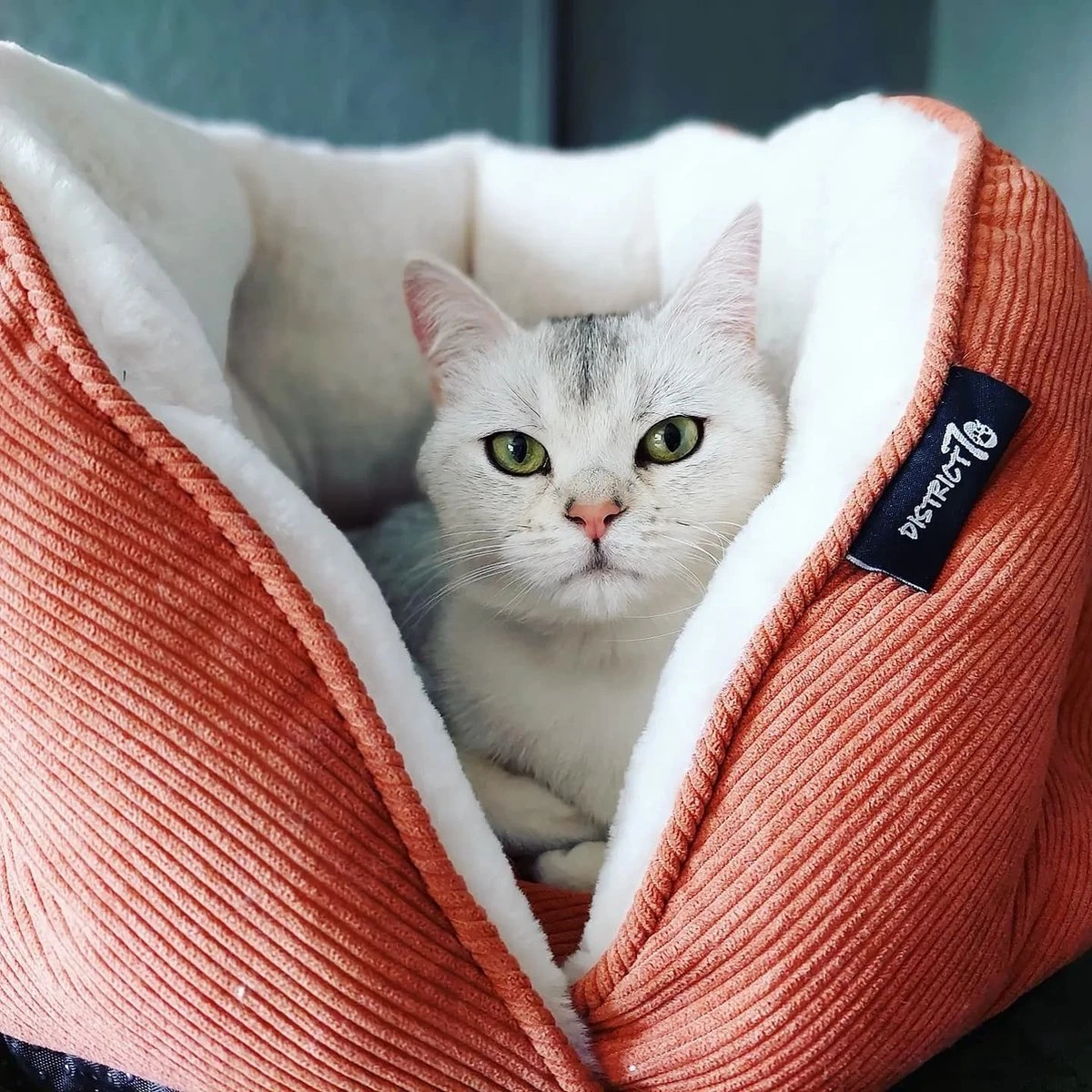 District 70 TUCK - Luxe & Comfortabele Mand Kleine Honden - Terra, Donkergrijs & Zand - 50x50x30 Cm - Zand - Afbeelding 2