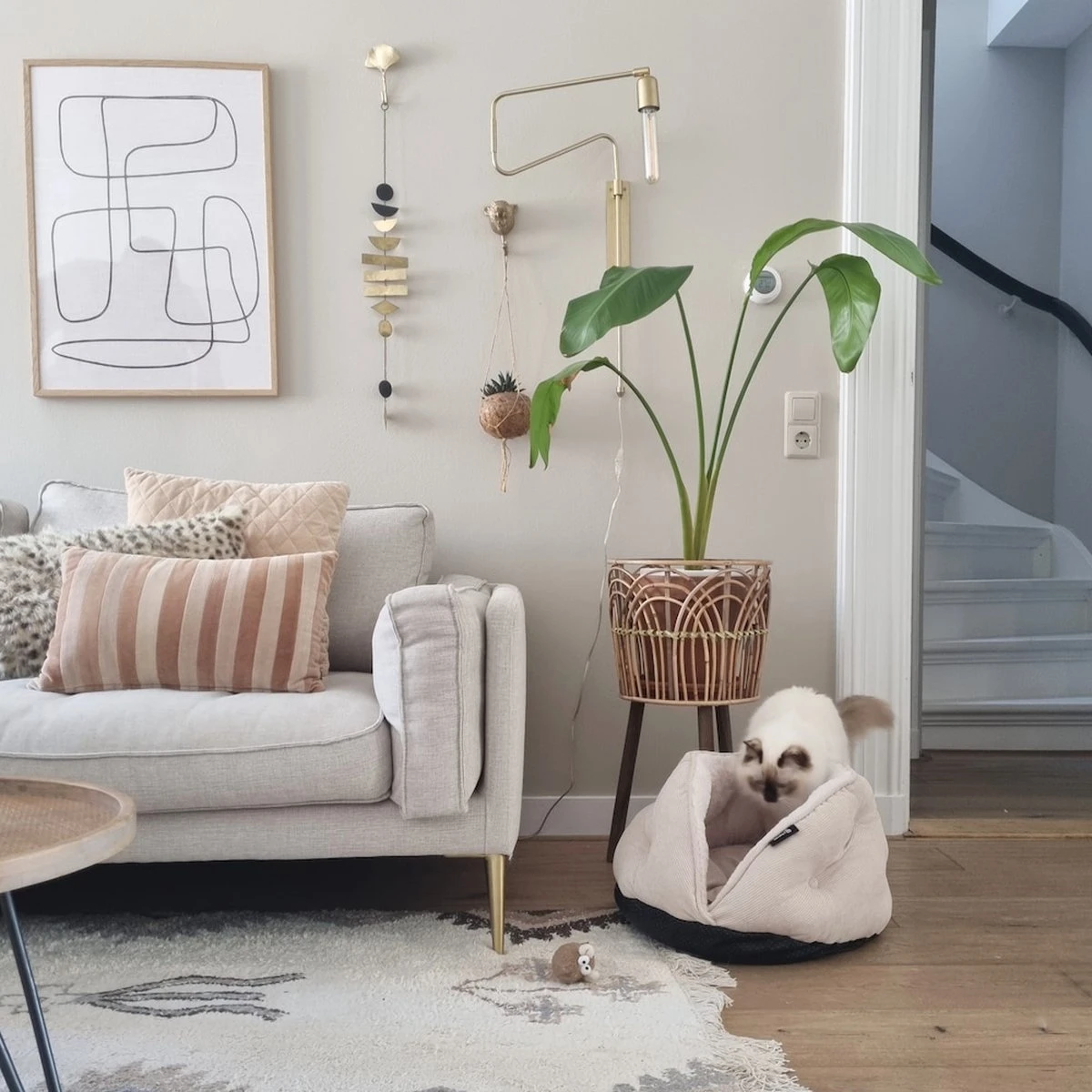 District 70 TUCK - Luxe & Comfortabele Mand Kleine Honden - Terra, Donkergrijs & Zand - 50x50x30 Cm - Zand - Afbeelding 10