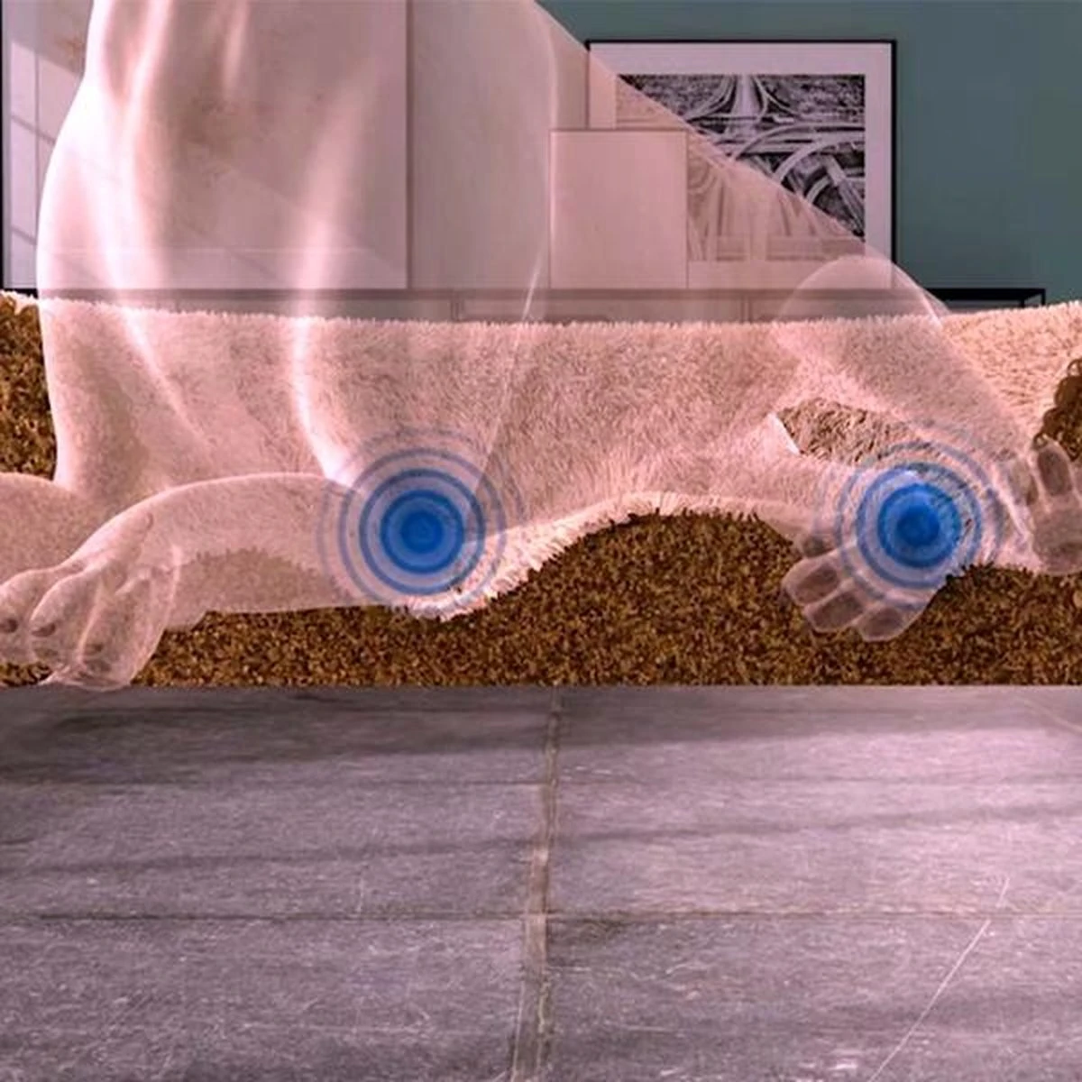 Peaceful Pooch S - Pluizig Hondenbed - 58cm Diameter - Opvouwbaar - In Verschillende Maten. Kattenbed - Wasbaar - Uitneembare Vulling - Ontspant Gewrichten En Spieren - Anti-slip Noppenbodem - Afbeelding 4