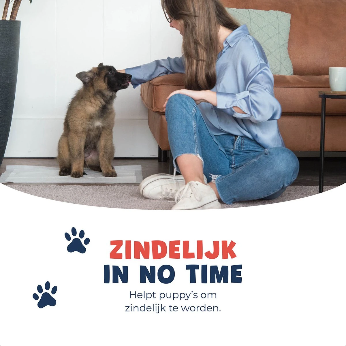 JC Pets Premium Puppy Training Pads - Hondentoilet - Zindelijkheidstraining Hond - 50 Stuks - 60 X 45 Cm - Afbeelding 6