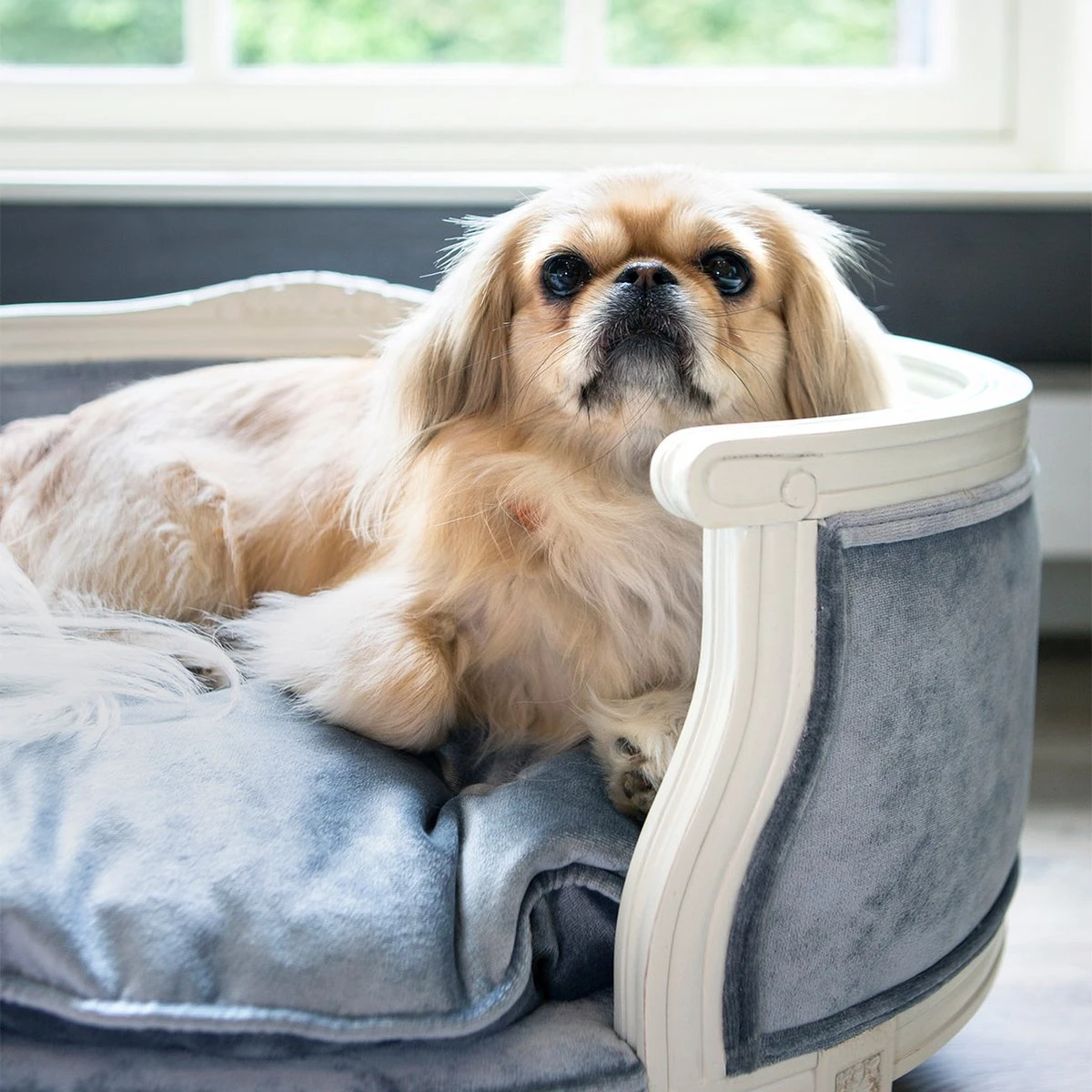 Lord Lou - George Blauw Velvet S - Luxe Hondenmand - Luxe Kattenmand - 49x40x31 - Afbeelding 7