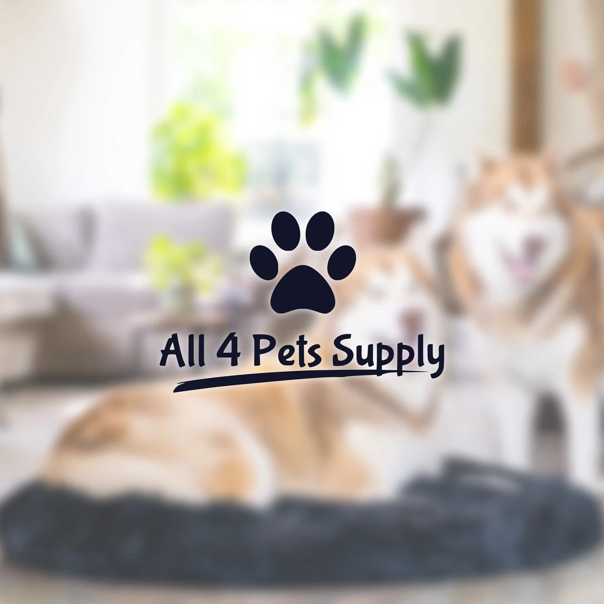 All 4 Pets Supply® Hondenmand Donut - Maat M - Geschikt Voor Honden Tot 50 Cm - Hondenkussen - Zwart - Afbeelding 9