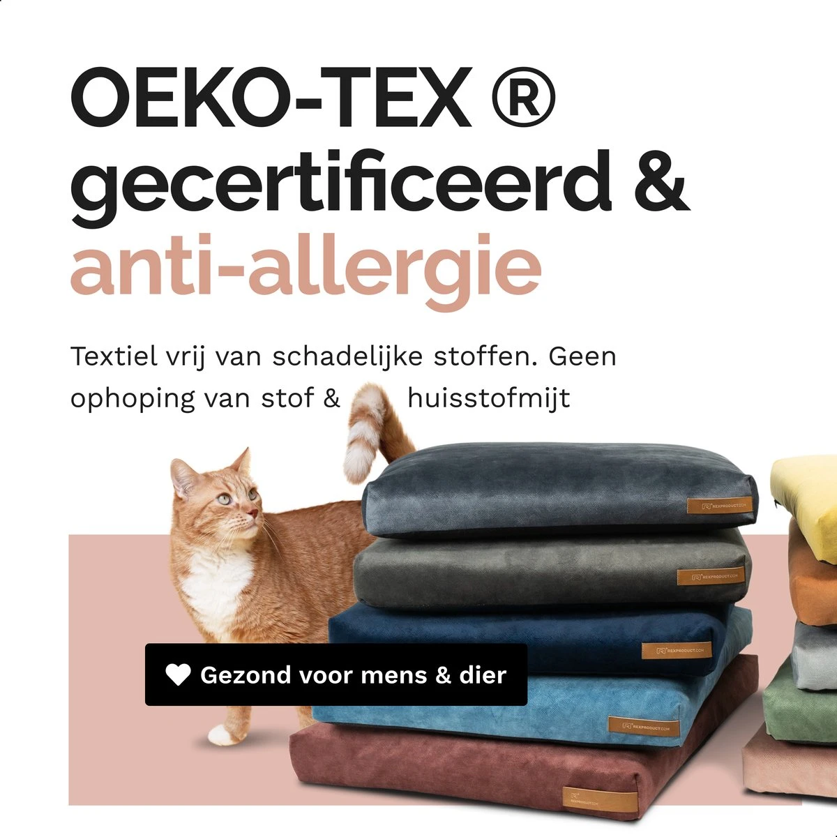 Rexproduct Hondenkussen - Hondenmand - Hondenbed Met Rits En Wasbaar - Manden & Kussens 90 X 110 CM - 0 Tot 80 Kg - SoftPet Groen - Afbeelding 4