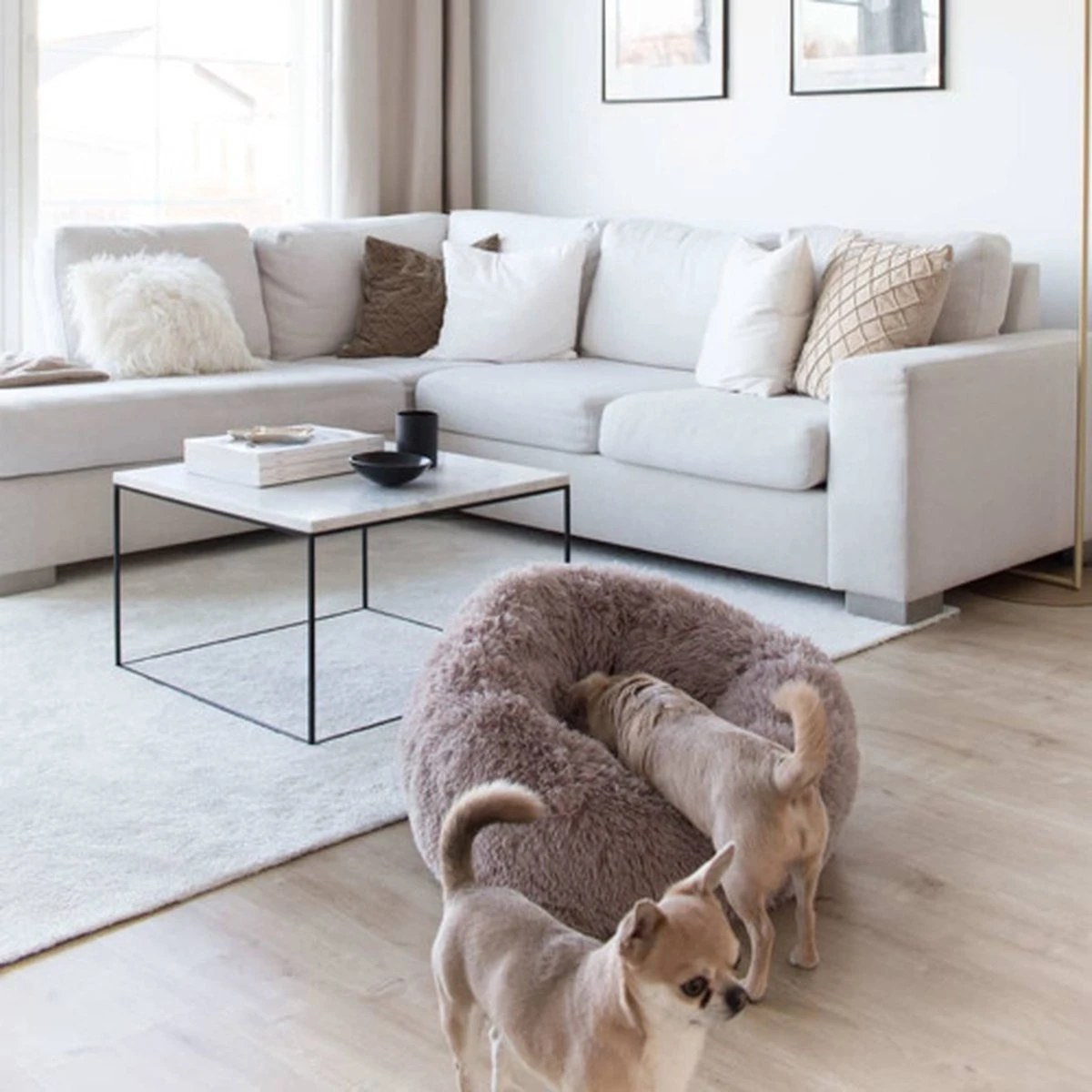 District 70 FUZZ - Hondenmand Comfortabel En Zacht Pluche - Zand, Oudroze, Donkergrijs En Lichtgrijs In S/M/L/XL - Maat: Medium, Kleur: Zand - Afbeelding 12