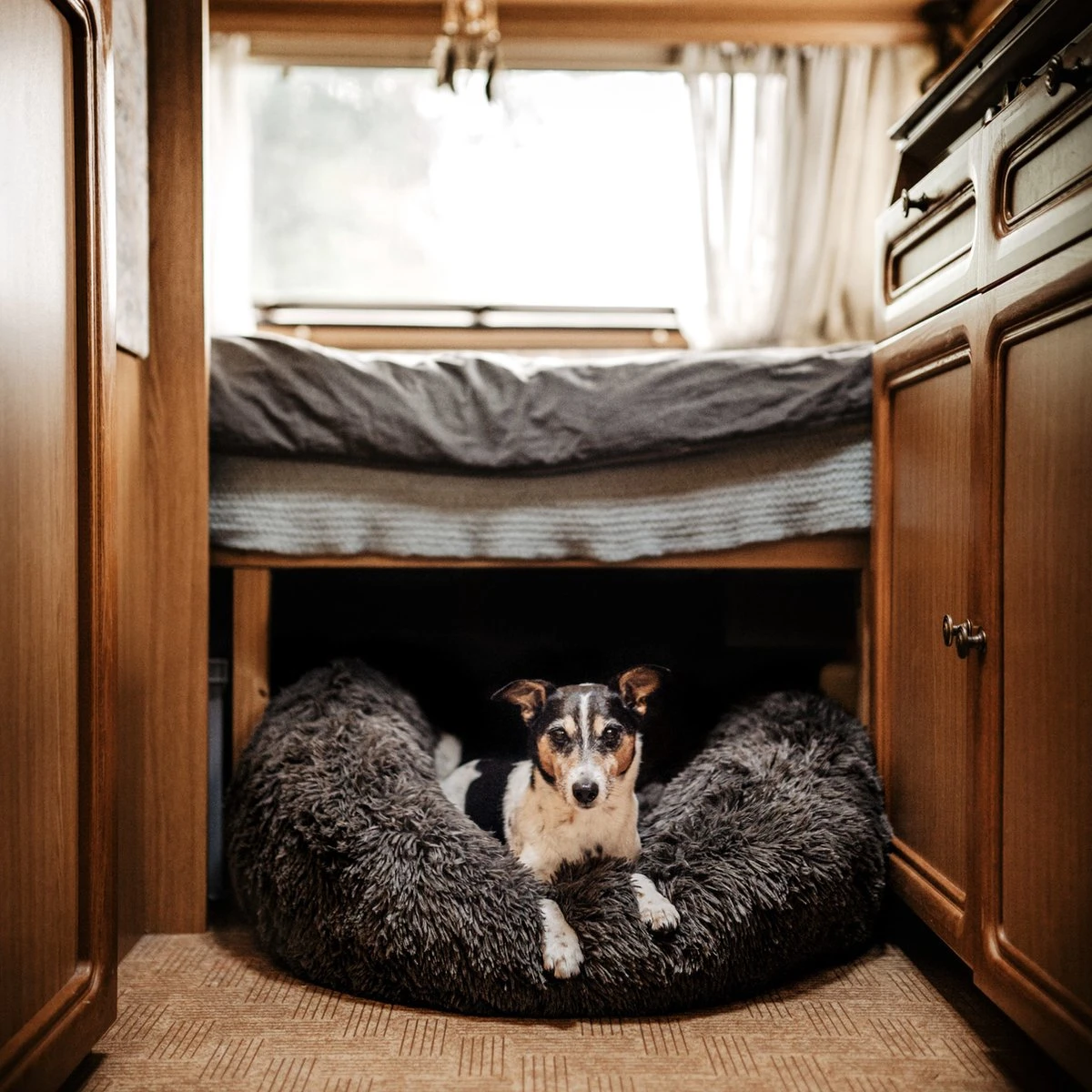 District 70 FUZZ - Hondenmand Comfortabel En Zacht Pluche - Zand, Oudroze, Donkergrijs En Lichtgrijs In S/M/L/XL - Maat: Medium, Kleur: Zand - Afbeelding 18